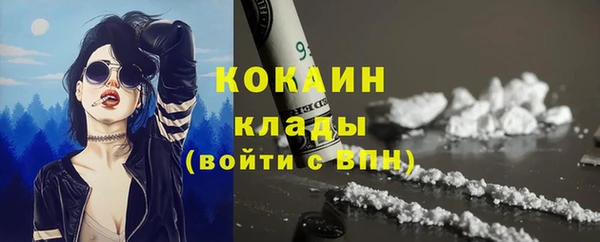 сатива Заводоуковск