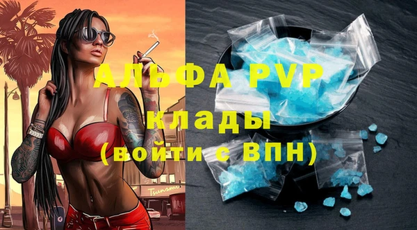 сатива Заводоуковск