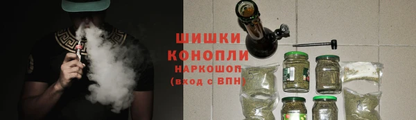 сатива Заводоуковск