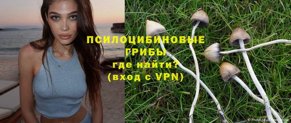 сатива Заводоуковск