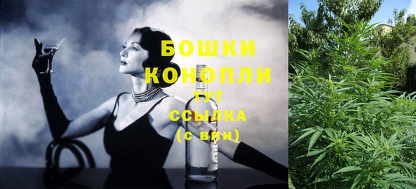 сатива Заводоуковск